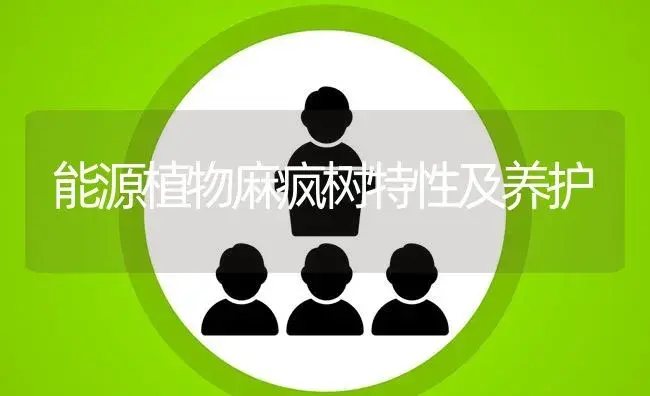 能源植物麻疯树特性及养护 | 植物知识