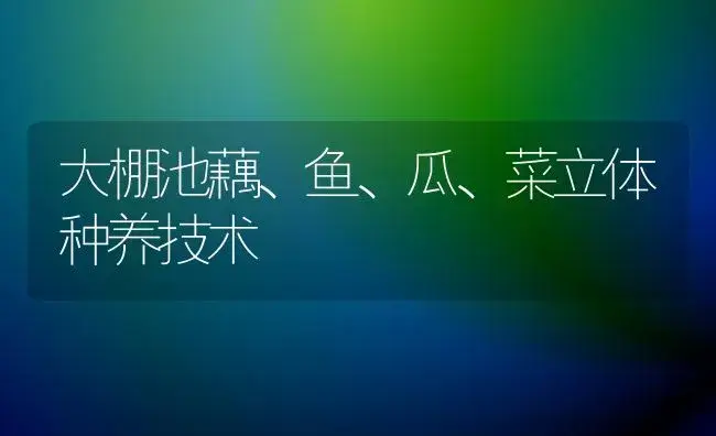 大棚池藕、鱼、瓜、菜立体种养技术 | 植物科普