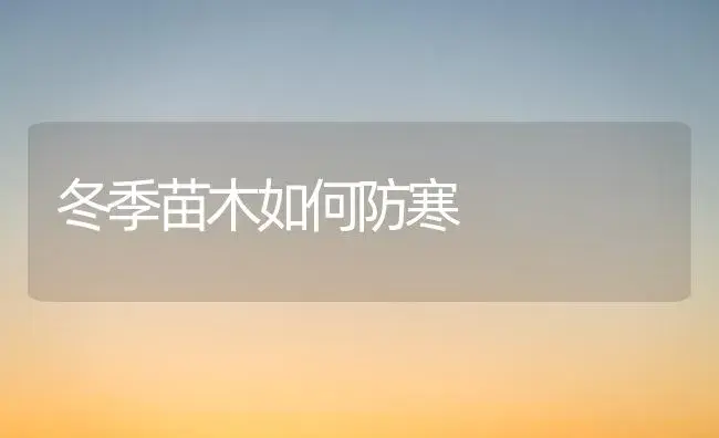 冬季苗木如何防寒 | 植物知识