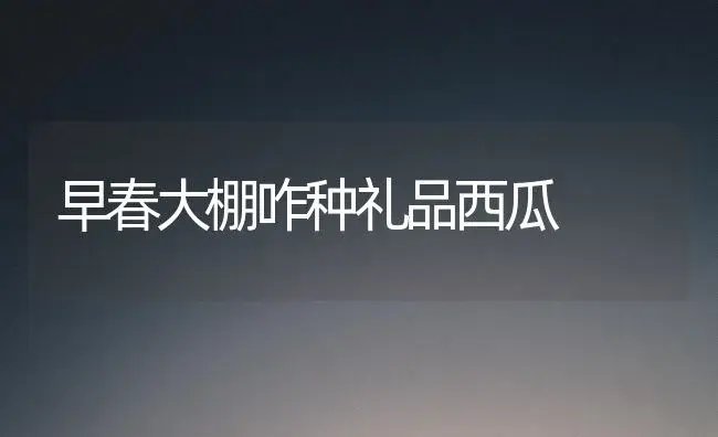 早春大棚咋种礼品西瓜 | 植物科普