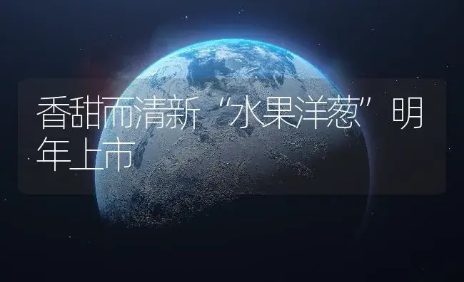 香甜而清新“水果洋葱”明年上市 | 植物百科