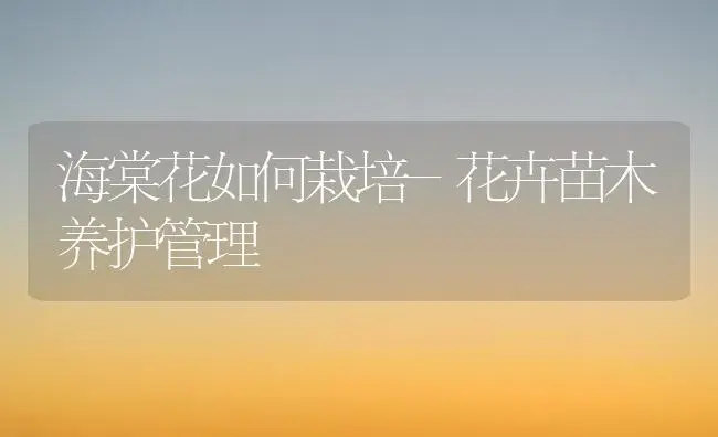 海棠花如何栽培-花卉苗木养护管理 | 植物科普