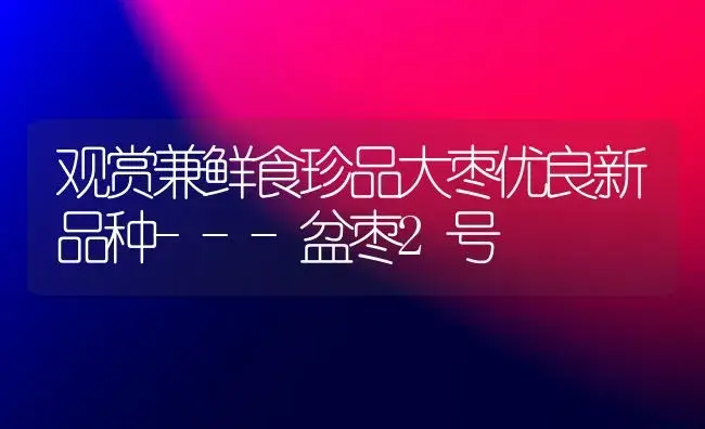 观赏兼鲜食珍品大枣优良新品种---盆枣2号 | 植物科普