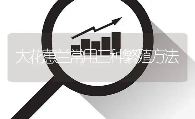 大花蕙兰常用三种繁殖方法 | 植物知识
