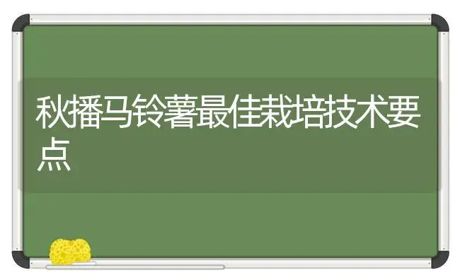 秋播马铃薯最佳栽培技术要点 | 植物科普