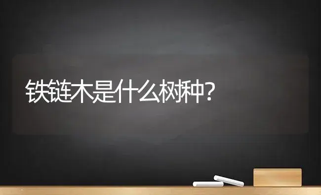 铁链木是什么树种？ | 植物问答