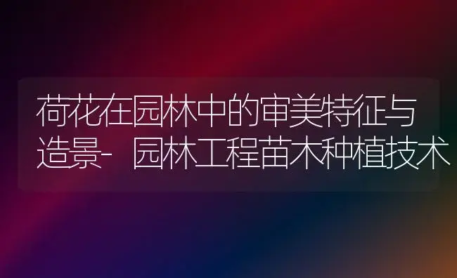 荷花在园林中的审美特征与造景-园林工程苗木种植技术 | 植物知识