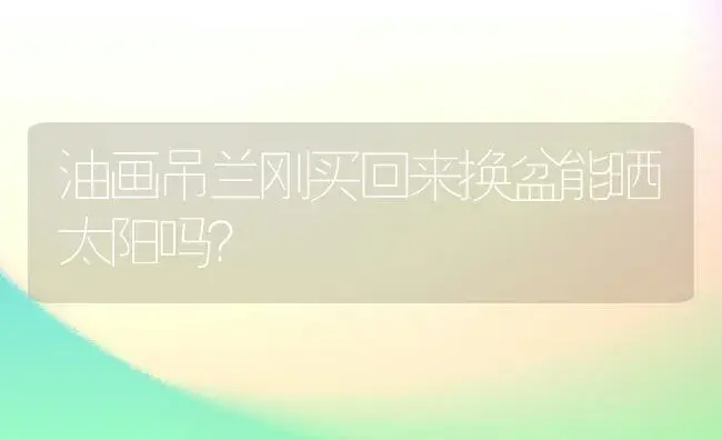 油画吊兰刚买回来换盆能晒太阳吗？ | 植物问答