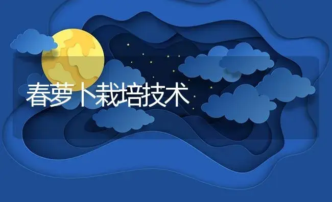 春萝卜栽培技术 | 植物资料