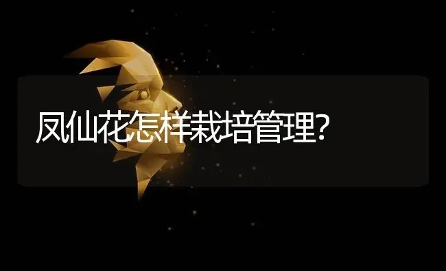 凤仙花怎样栽培管理？ | 植物科普