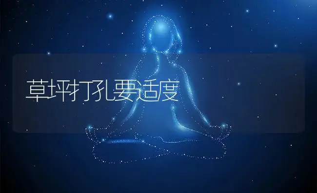 草坪打孔要适度 | 植物知识