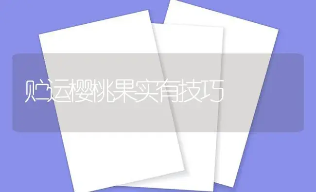 贮运樱桃果实有技巧 | 植物百科
