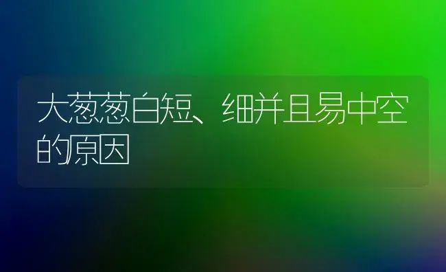 大葱葱白短、细并且易中空的原因 | 植物百科