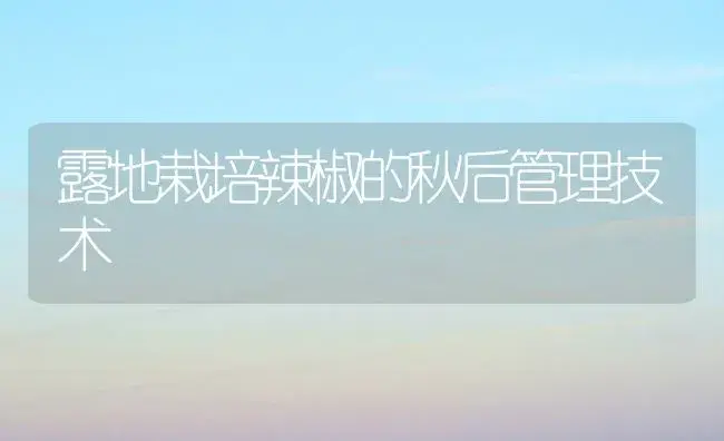 露地栽培辣椒的秋后管理技术 | 植物百科