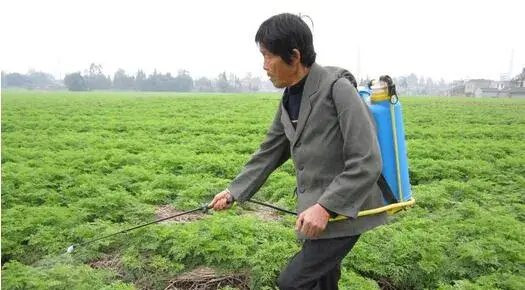 2017种川芎赚钱吗？2017种川芎前景及市场价格行情分析