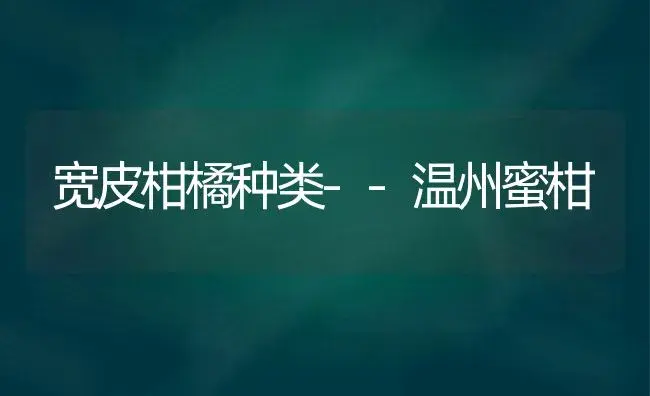 水稻节水灌溉的农业措施 | 植物科普
