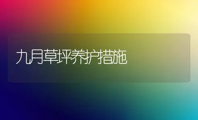 九月草坪养护措施 | 植物知识