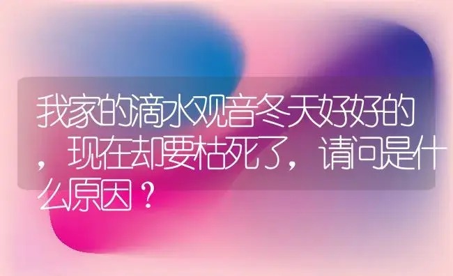 我家的滴水观音冬天好好的，现在却要枯死了，请问是什么原因？ | 植物问答