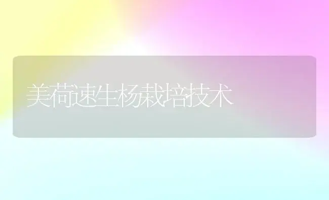 美荷速生杨栽培技术 | 植物知识