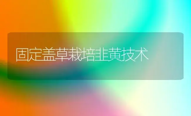 固定盖草栽培韭黄技术 | 植物百科