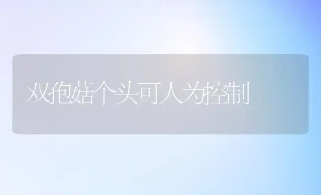 春季观花优良树种――贴梗海棠 | 植物科普