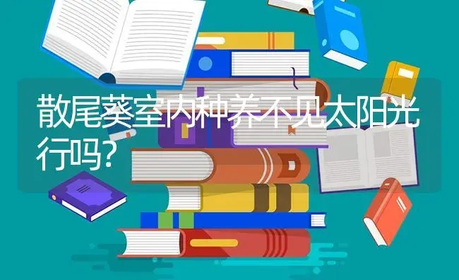 散尾葵室内种养不见太阳光行吗？ | 植物问答