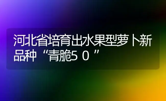 河北省培育出水果型萝卜新品种“青脆50” | 植物科普