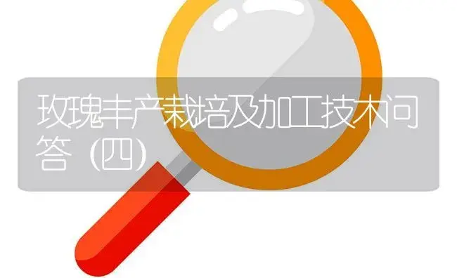 玫瑰丰产栽培及加工技木问答（四） | 植物知识