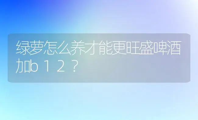 绿萝怎么养才能更旺盛啤酒加b12？ | 植物问答