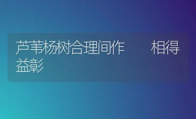 芦苇杨树合理间作  相得益彰 | 植物知识
