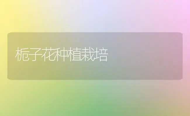 栀子花种植栽培 | 植物知识