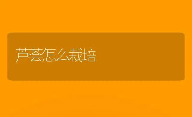 栀子花养护 | 植物知识