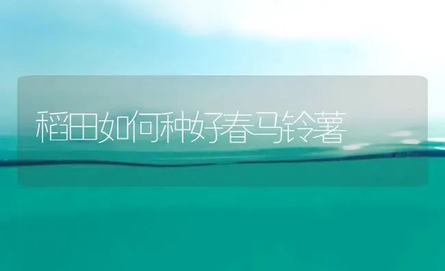 稻田如何种好春马铃薯 | 植物百科