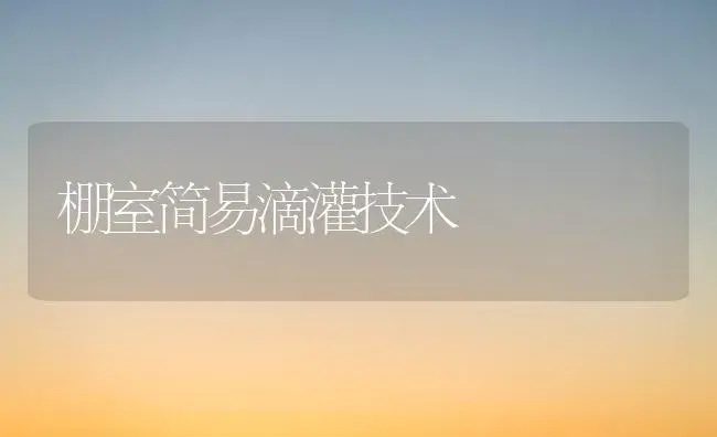 棚室简易滴灌技术 | 植物百科