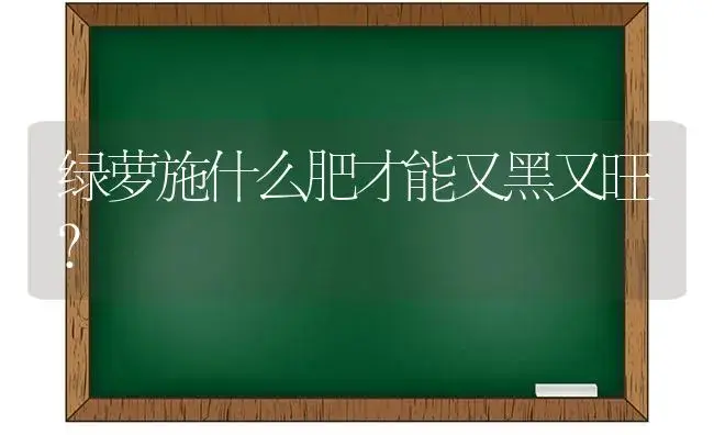 转运竹的养殖方法与注意事项？ | 植物问答