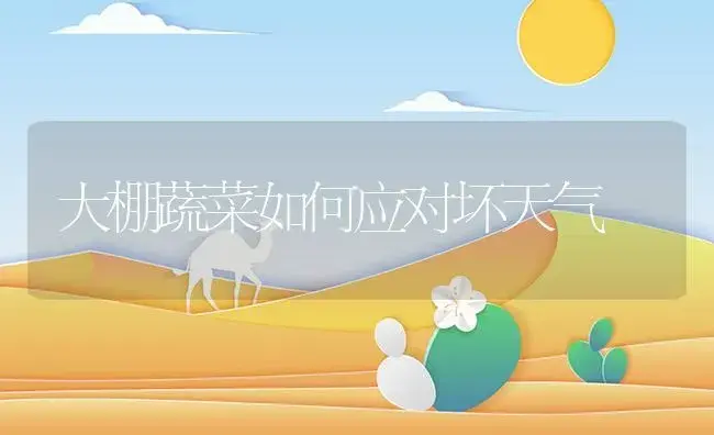 大棚蔬菜如何应对坏天气 | 植物资料