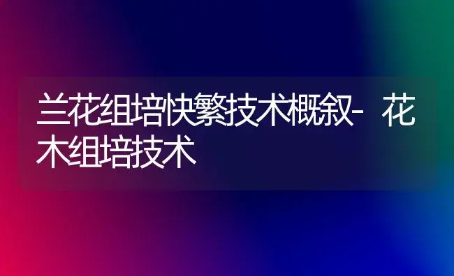 兰花组培快繁技术概叙-花木组培技术 | 植物知识