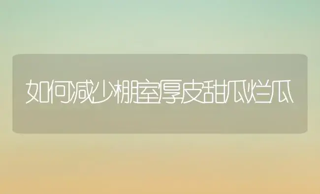 如何减少棚室厚皮甜瓜烂瓜 | 植物科普