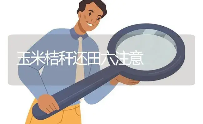 玉米桔秆还田六注意 | 植物百科