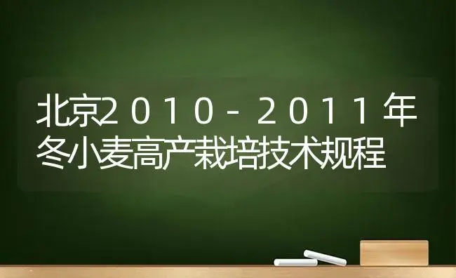 北京2010-2011年冬小麦高产栽培技术规程 | 植物科普