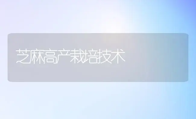 芝麻高产栽培技术 | 植物科普