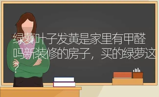 绿萝叶子发黄是家里有甲醛吗新装修的房子，买的绿萝这？ | 植物问答