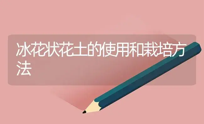 冰花状花土的使用和栽培方法 | 植物知识