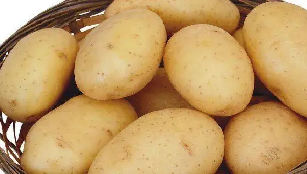 春种土豆什么时候收