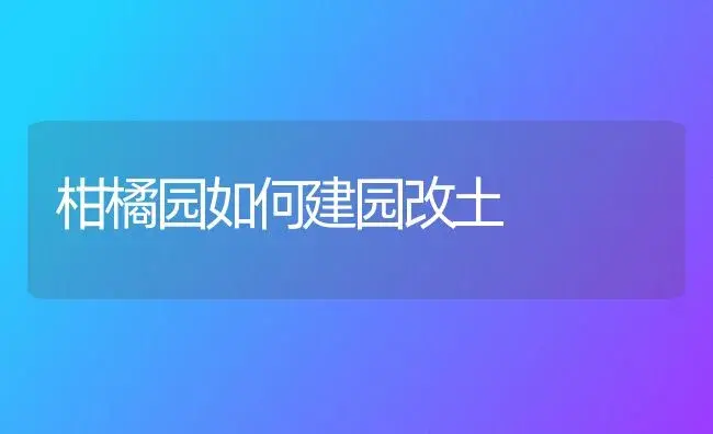 柑橘园如何建园改土 | 植物科普