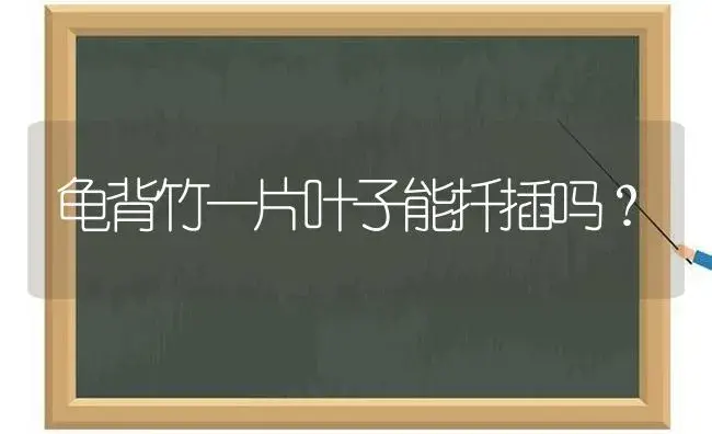 龟背竹一片叶子能扦插吗？ | 植物问答