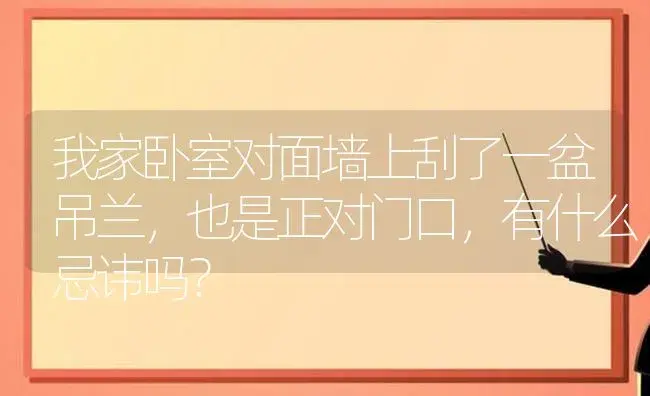 我家卧室对面墙上刮了一盆吊兰，也是正对门口，有什么忌讳吗？ | 植物问答