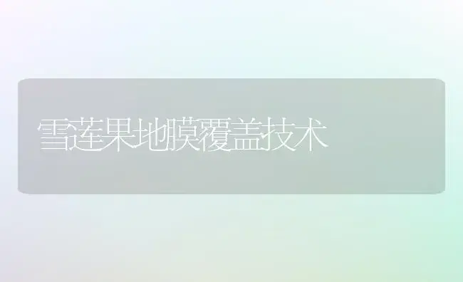 雪莲果地膜覆盖技术 | 植物科普