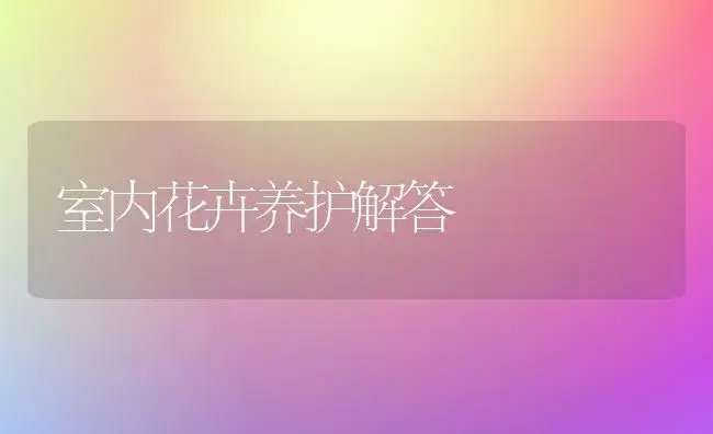 室内花卉养护解答 | 植物科普