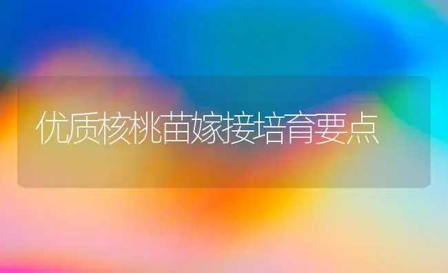 优质核桃苗嫁接培育要点 | 植物科普